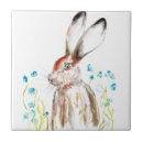 Recherche de lapin sauvage carreaux Faune