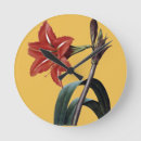 Recherche de redoute horloges Illustration de fleur