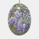 Recherche de glycines ornements Violet