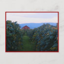 Recherche de raisins sur la vigne cartes postales Pourpre