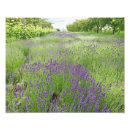 Recherche de huiles essentielles posters Toute personne