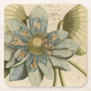 Recherche de fleur lotus de dessous de verres Botanique