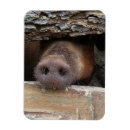 Recherche de truc magnets Drôle