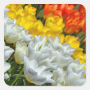 Recherche de tulipes autocollants Fleur