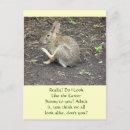 Recherche de humoristique pâques cartes lapins