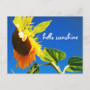 Recherche de bonjour tournesol cartes postales Jaune
