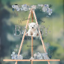 Recherche de baby boy shower decor Bébé son froid dehors