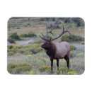 Recherche de parcs nationaux américains magnets Chute