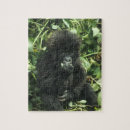 Recherche de gorilla puzzles Bébé