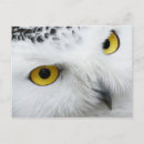 Recherche de factures cartes postales Bec