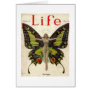 Recherche de papillon de madame Cru