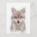 Recherche de petit loup cartes postales Faune