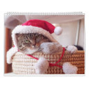 Recherche de funny calendriers Chats