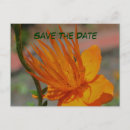 Recherche de macro de fleur invitations Nature