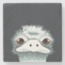 Recherche de stone dessous de verres Animaux