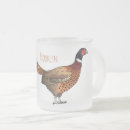 Recherche de faisan tasses Phasianus colchicus