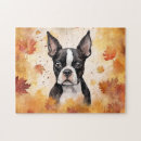 Recherche de boston terrier puzzles Mignon