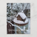 Recherche de oiseaux dans la neige cartes postales Scène de neige