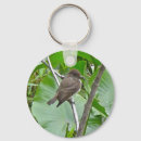 Recherche de phoebe accessoires Nature