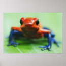 Recherche de blooded posters Faune