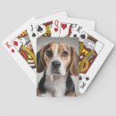 Recherche de tête animale jeux de cartes Animaux domestiques