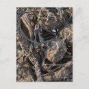 Recherche de macabre cartes postales Hurler