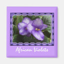 Recherche de violet magnete Photographie