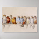 Recherche de perch posters Hector giacomelli