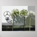 Recherche de agapanthus posters Flore