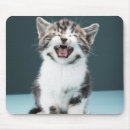 Recherche de pleurer tapis souris Animal