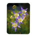Recherche de columbines magnets Pour tous