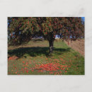 Recherche de cultivateur cartes postales Rural