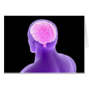 Recherche de sensoriel cartes postales Anatomie