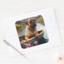 Recherche de bullmastiff autocollants Animal