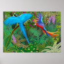 Recherche de maccaw posters Nature