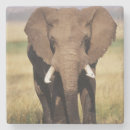 Recherche de savane dessous de verres Éléphant
