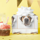Recherche de trou papier cadeau Toute personne