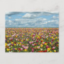 Recherche de bulbe cartes postales Paysage