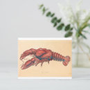 Recherche de homards cartes postales Pour eux
