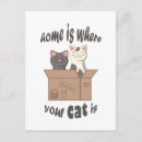 Recherche de citation drôle de chat cartes postales Chaton