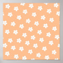 Recherche de marguerites blanches posters Coloré