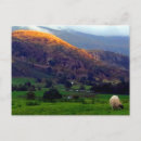 Recherche de fixation cartes postales Toute personne