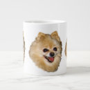 Recherche de pomeranian tasses Poms