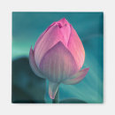 Recherche de fleur de lotus magnets Pétale