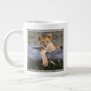 Recherche de cute animals tasses Lion