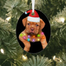 Recherche de dogue de bordeaux ornements Noël
