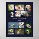 Recherche de pet memorial posters Dogs