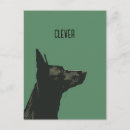 Recherche de berger allemand noir cartes postales Black shepherd