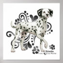 Recherche de chiot dalmatien posters Dog