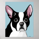 Recherche de animaux familiers posters Terrier de boston